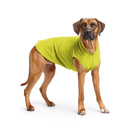Avocado Stretch Fleece