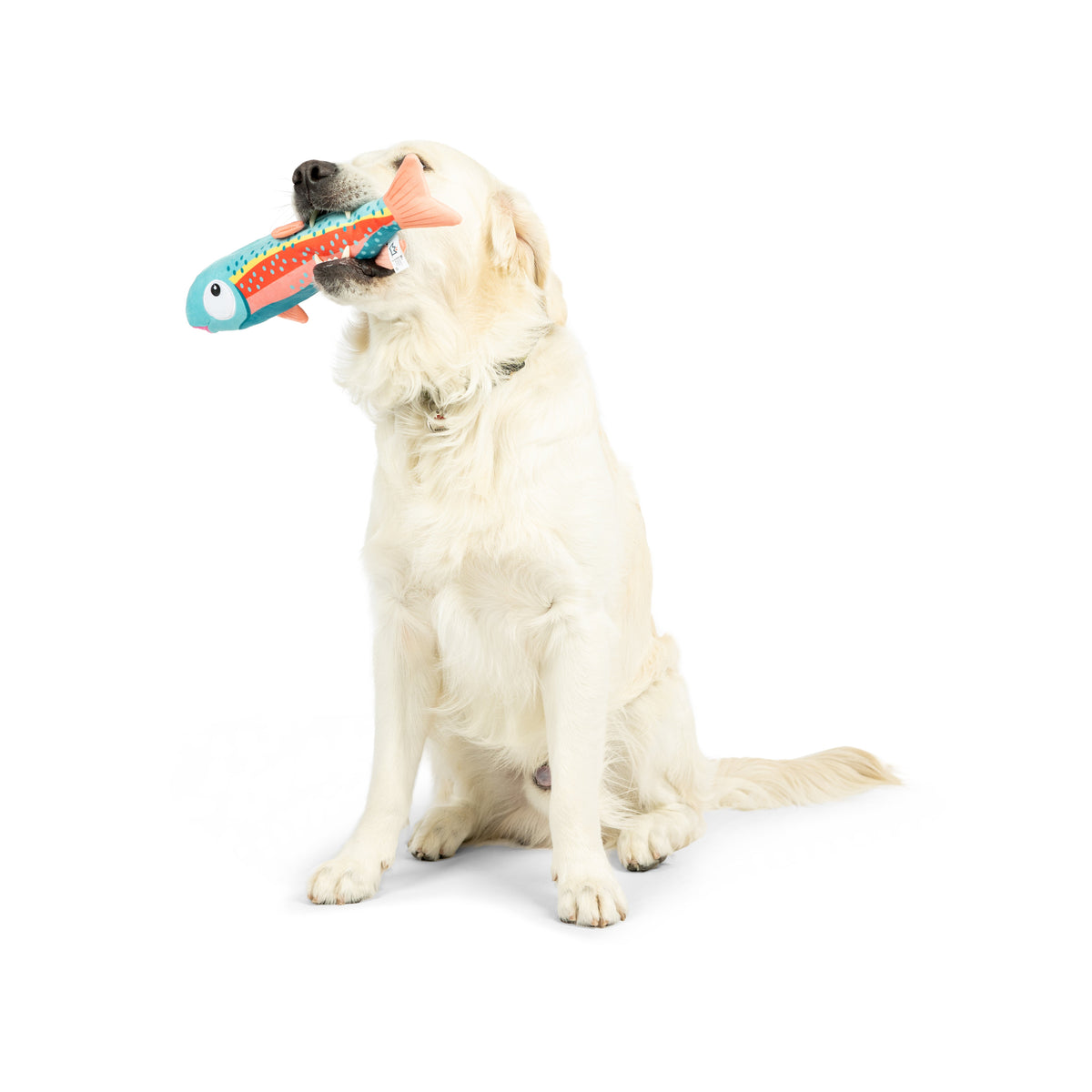 Travis Trout Dog Toy - Large 14.5"