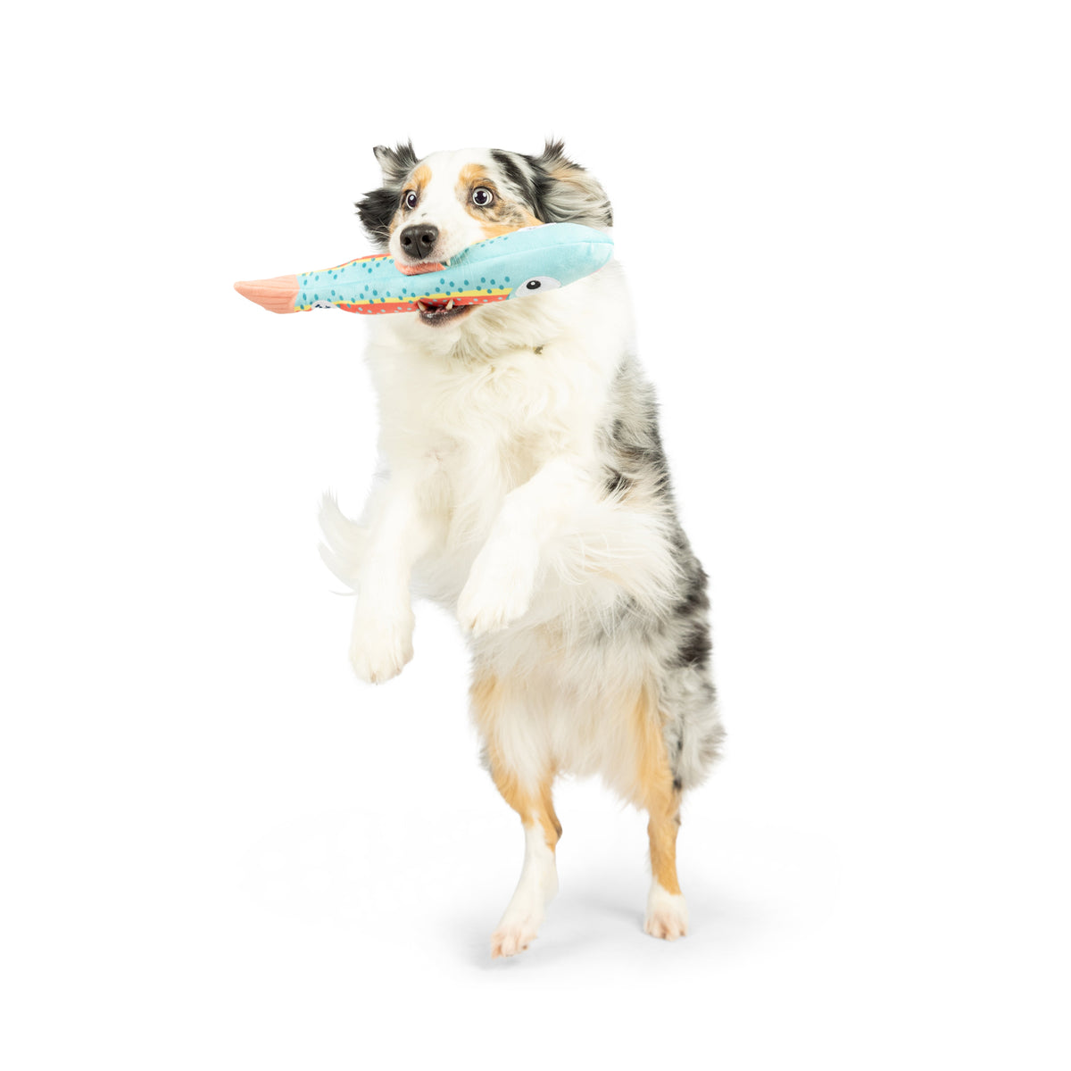 Travis Trout Dog Toy - Large 14.5"