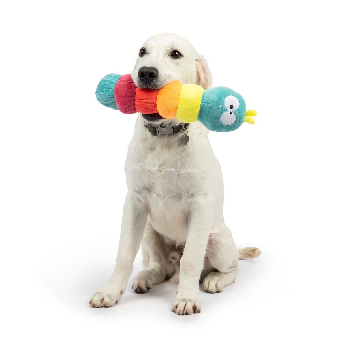 Caterpillar Dog Toy - Large 13"