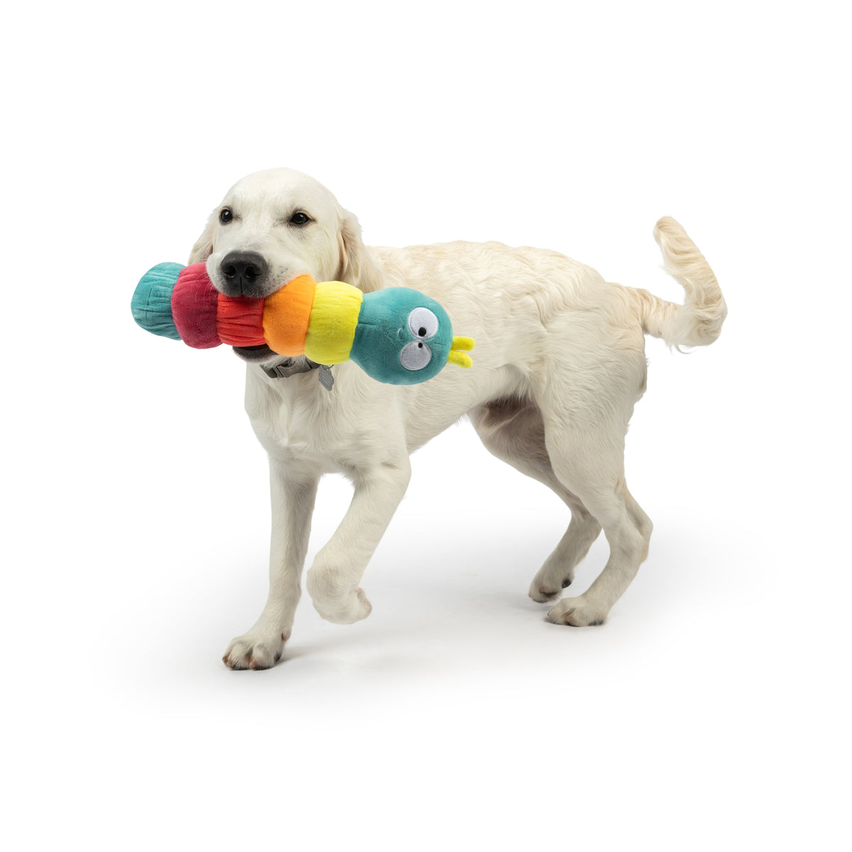 Caterpillar Dog Toy - Large 13"
