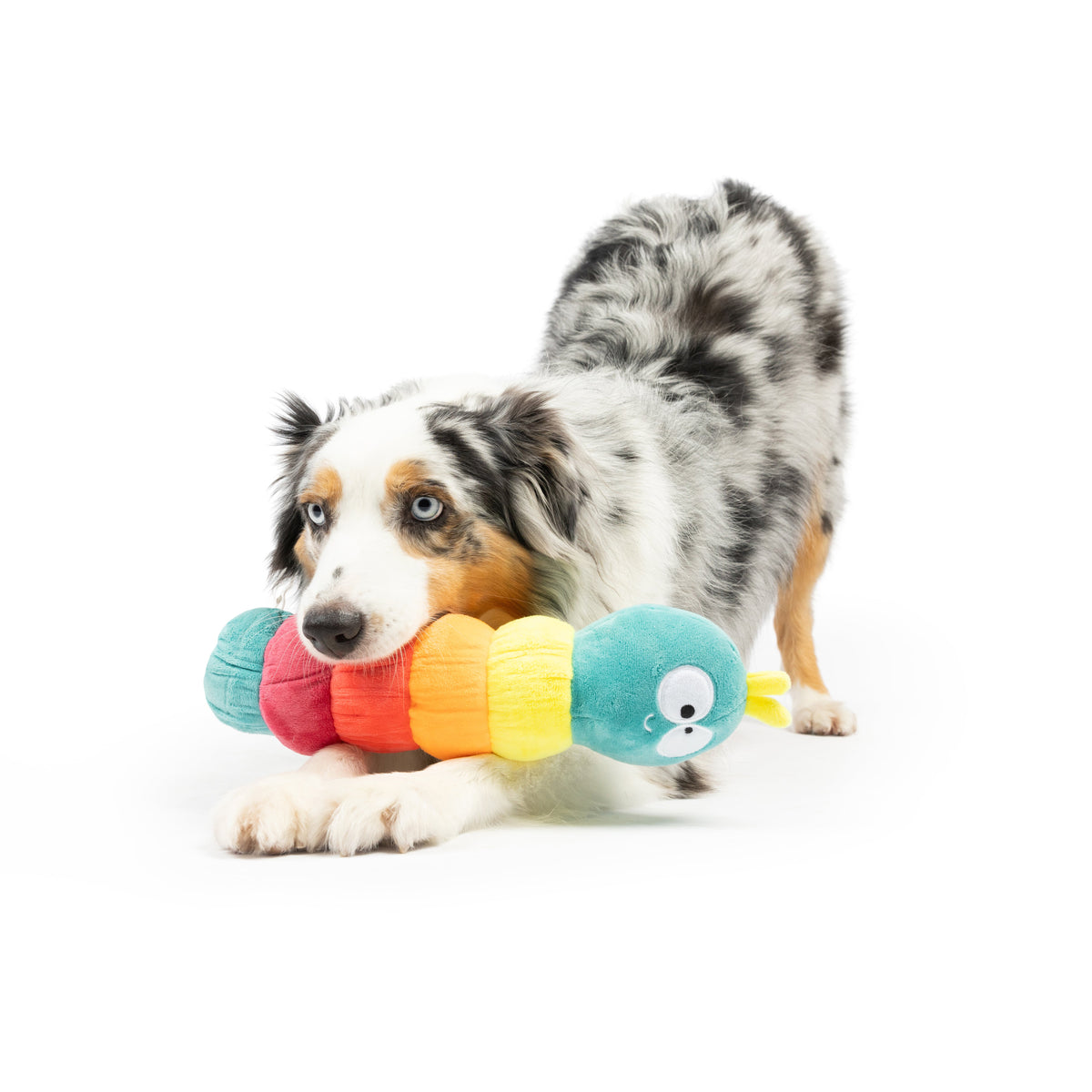 Caterpillar Dog Toy - Large 13"