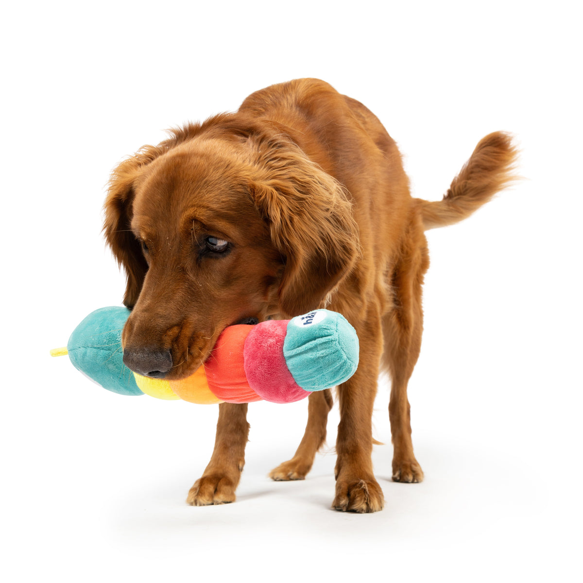 Caterpillar Dog Toy - Large 13"