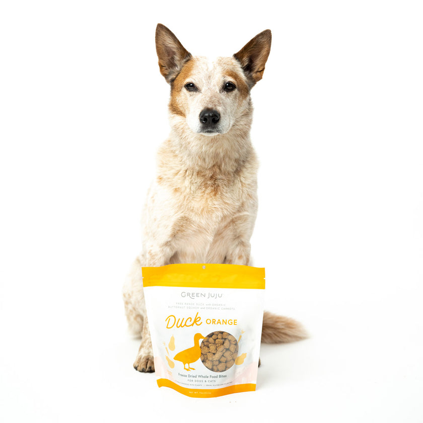 Green Juju Duck Orange Whole Food Bites For Dogs & Cats - 3 oz