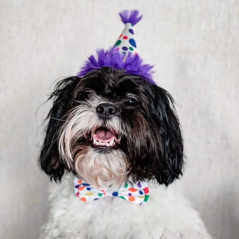 Happy Barkday Party Time Hat With Snugfit