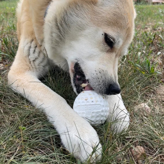 Golf Ball Chew Toy & Treat Dispenser