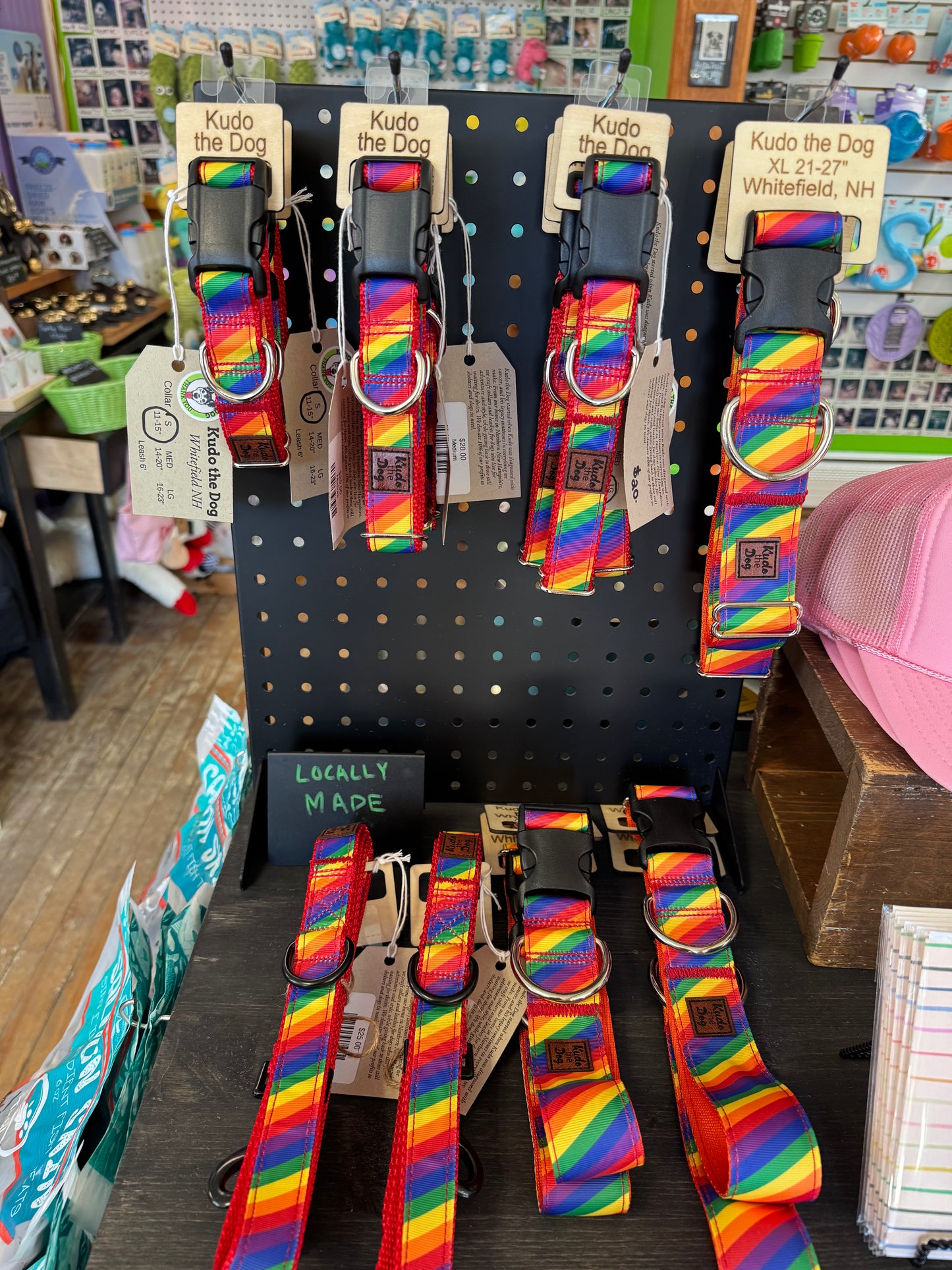 Kudo the Dog Pride Collar
