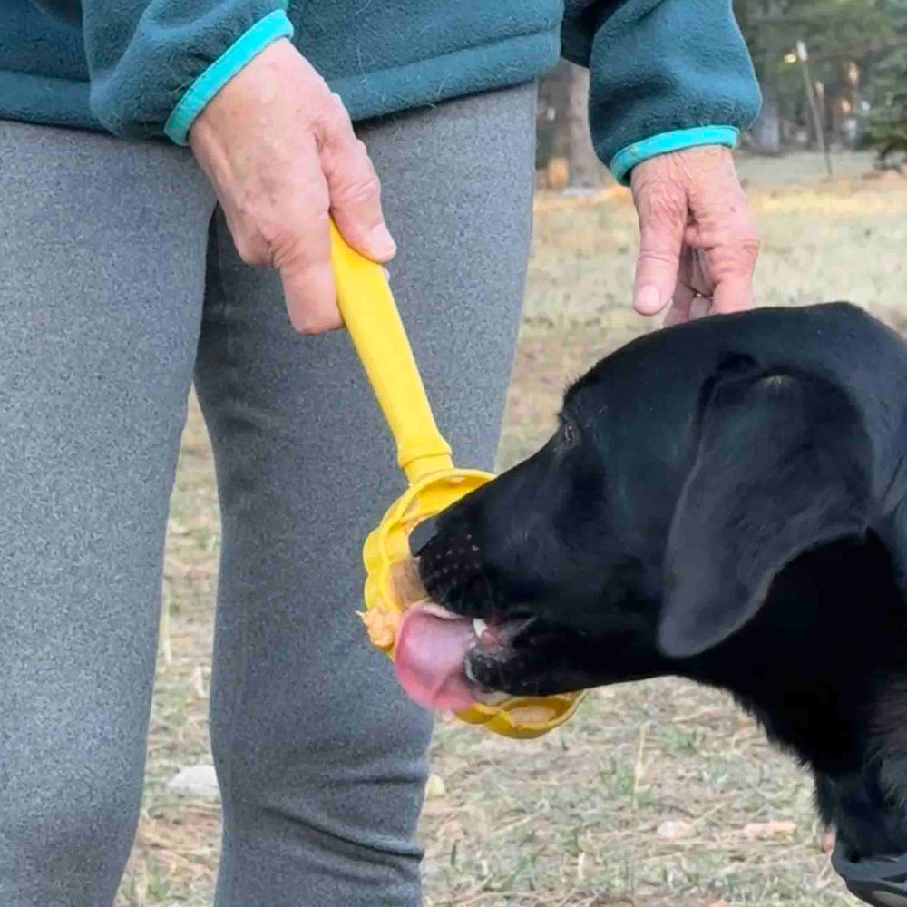 Beehive Lick Stick Hand-Held Interactive Enrichment Toy