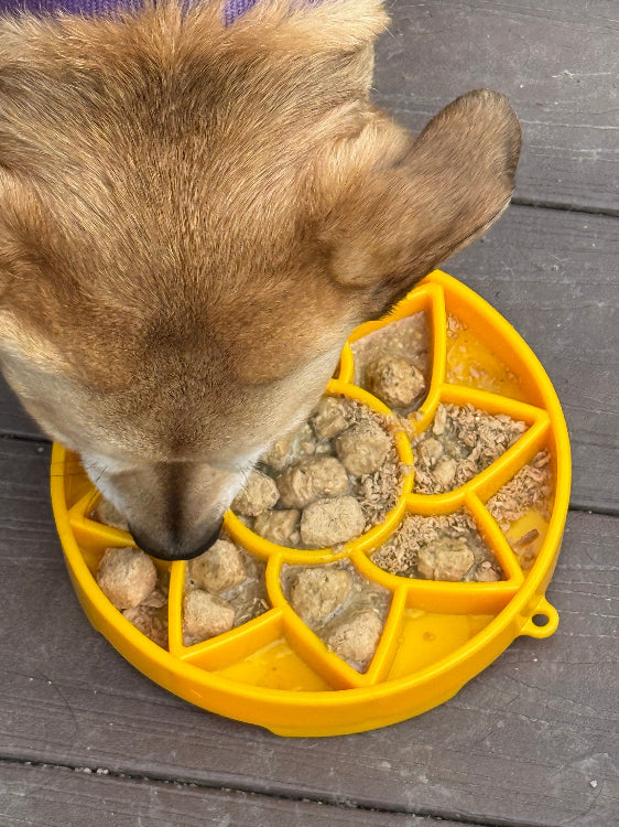 Sunflower Design eTray Enrichment Slow Feeder Tray for Dogs