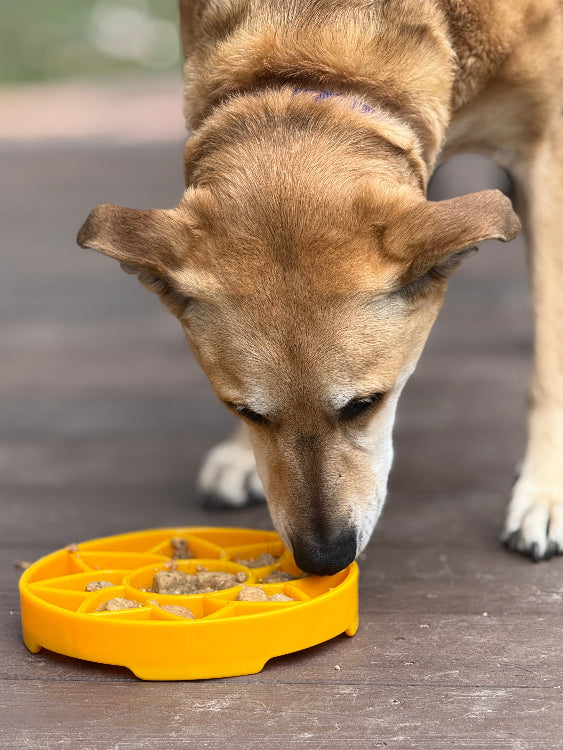 Sunflower Design eTray Enrichment Slow Feeder Tray for Dogs