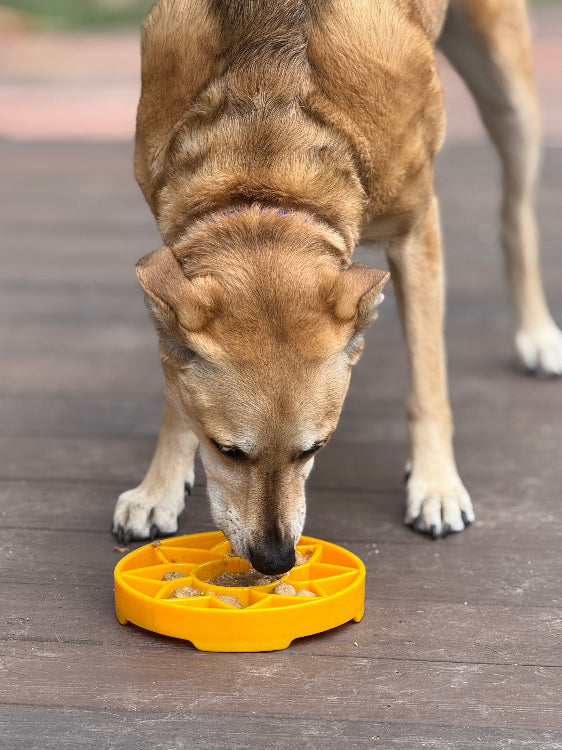 Sunflower Design eTray Enrichment Slow Feeder Tray for Dogs