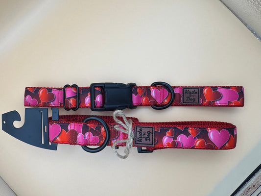 Kudo the Dog Valentine's Day Hearts Dog Collar