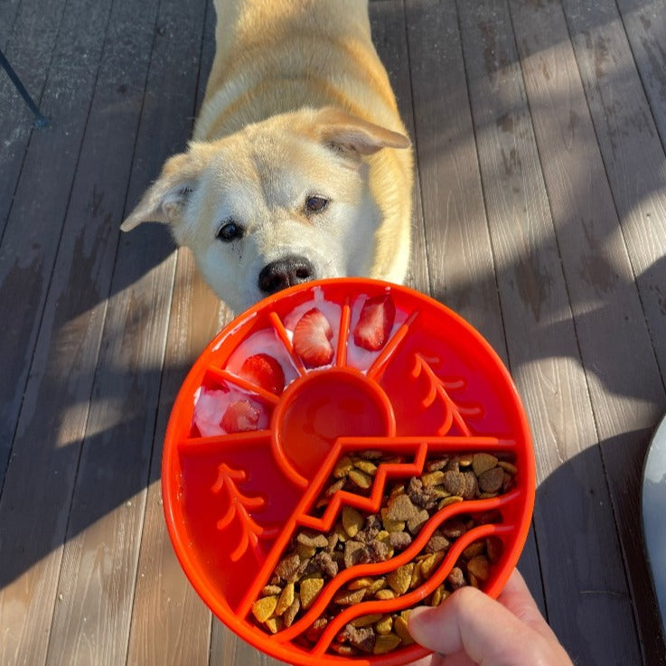 Great Outdoors Enrichment Slow Feeder Bowl for Dogs