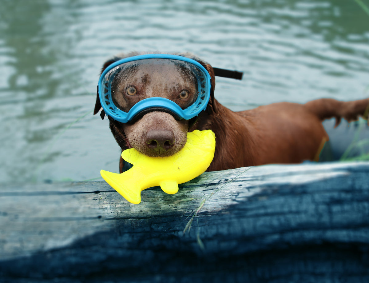 RuffDawg Flying Fish Floating Dog Toy - 9.5"