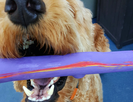 RuffDawg Twig Crunch