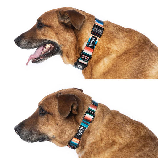 LostArt Collar