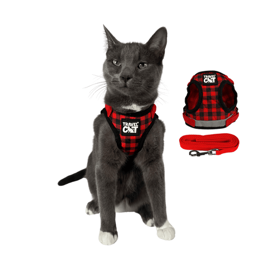 "The Pawsitively Plaid" Limited Edition Cat Harness & Leash Set