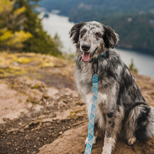 Glacier Ultralight Leash