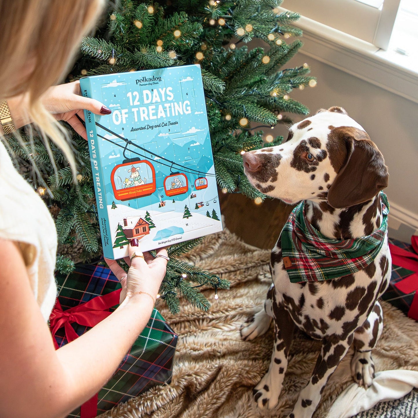 Polkadog 12 Days of Treating Holiday Calendar for Dogs & Cats