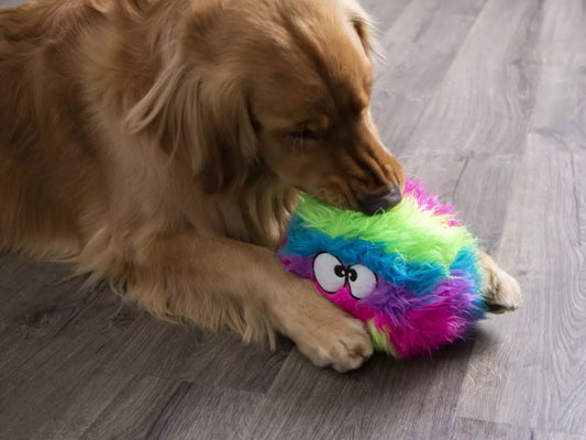 goDog Small Rainbow Furball with Chew Guard Dog Toy