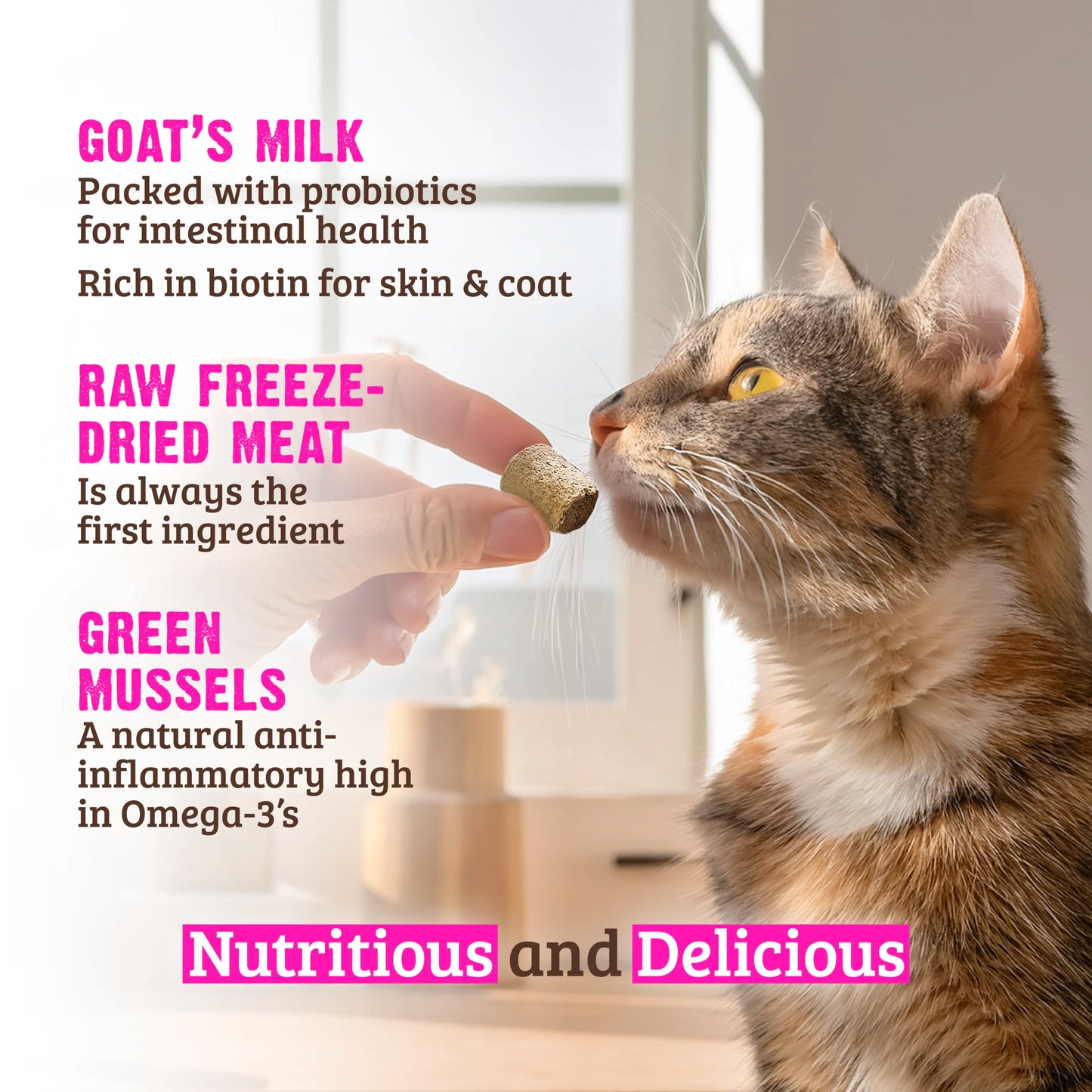 Raw Freeze Dried Wild Caught Salmon, Goat's Milk & Green Mussels Cat Treats