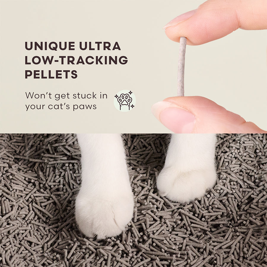 Really Great Cat Litter - Unscented Charcoal