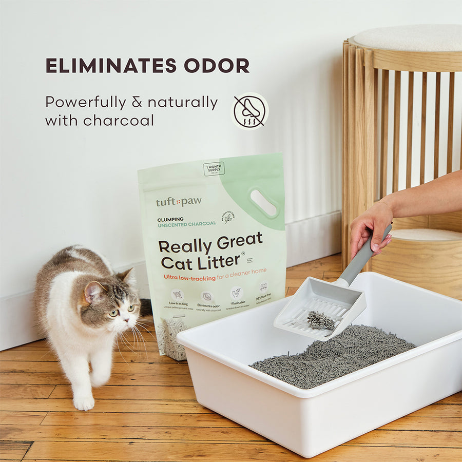 Really Great Cat Litter - Unscented Charcoal