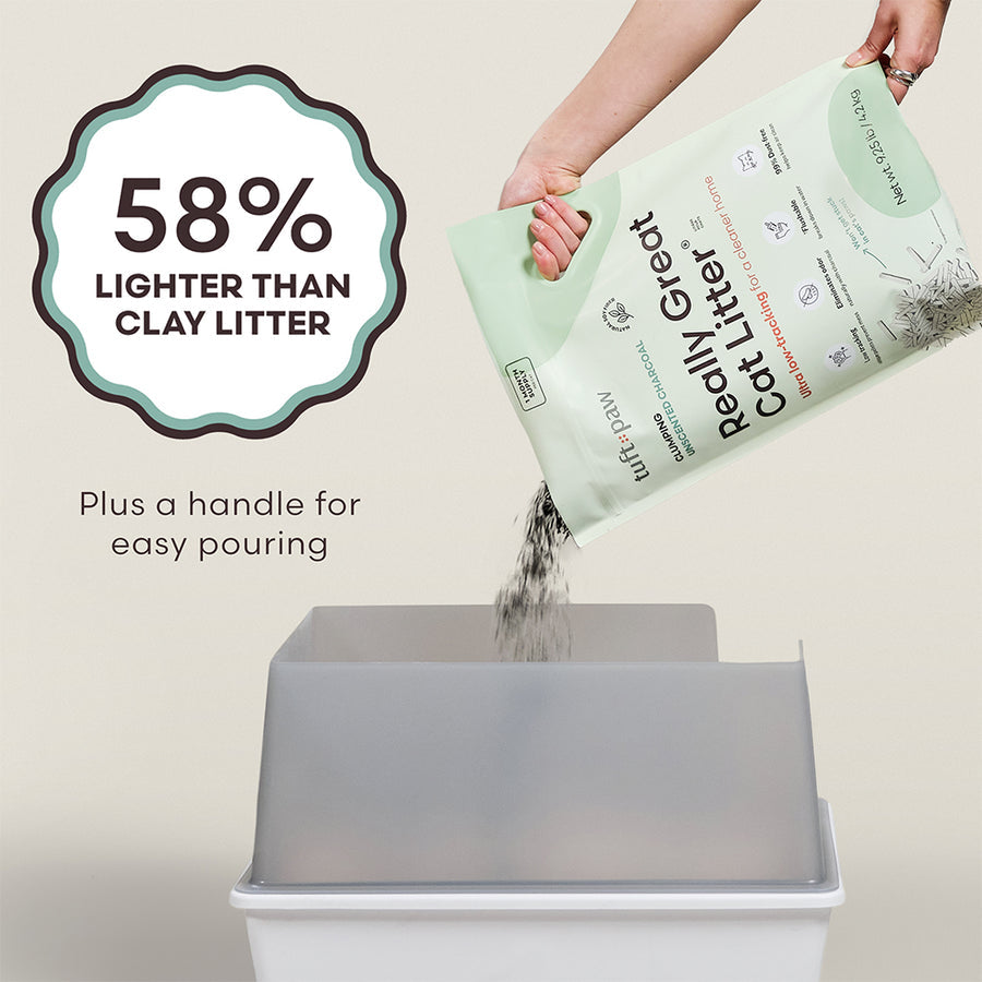 Really Great Cat Litter - Unscented Charcoal