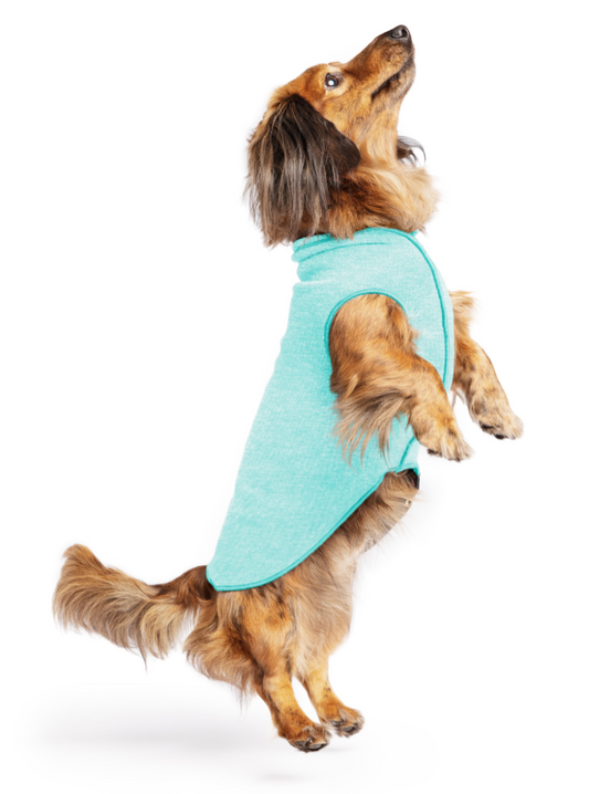 Goldpaw Series Baja Beach Sun Shield