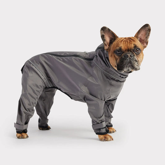 Dog Splash Suit