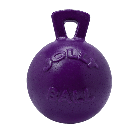 Jolly Pets Tug N Toss Dog Toy