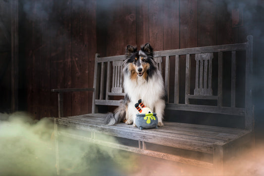 Howling Haunts Pups Potion