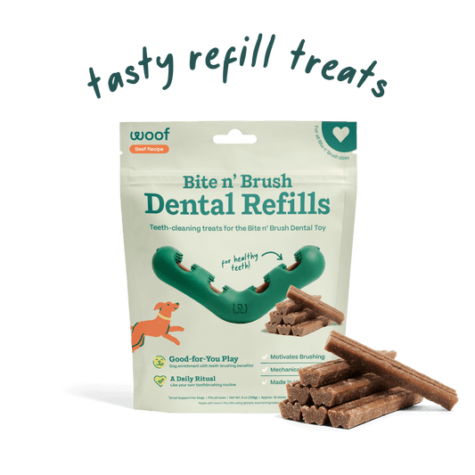 Woof Bite n' Brush Refills - Beef