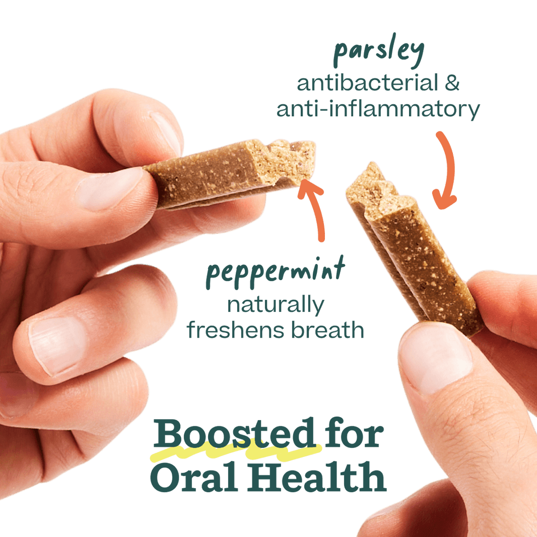 Woof Bite n' Brush Refills - Beef