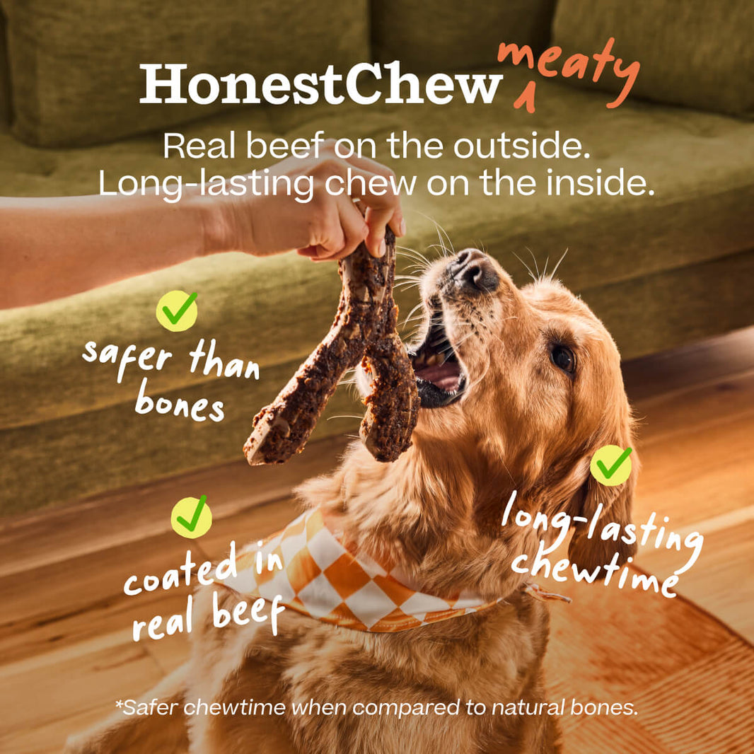 HonestChew Meaty Antler