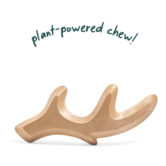 Woof HonestChew Antler