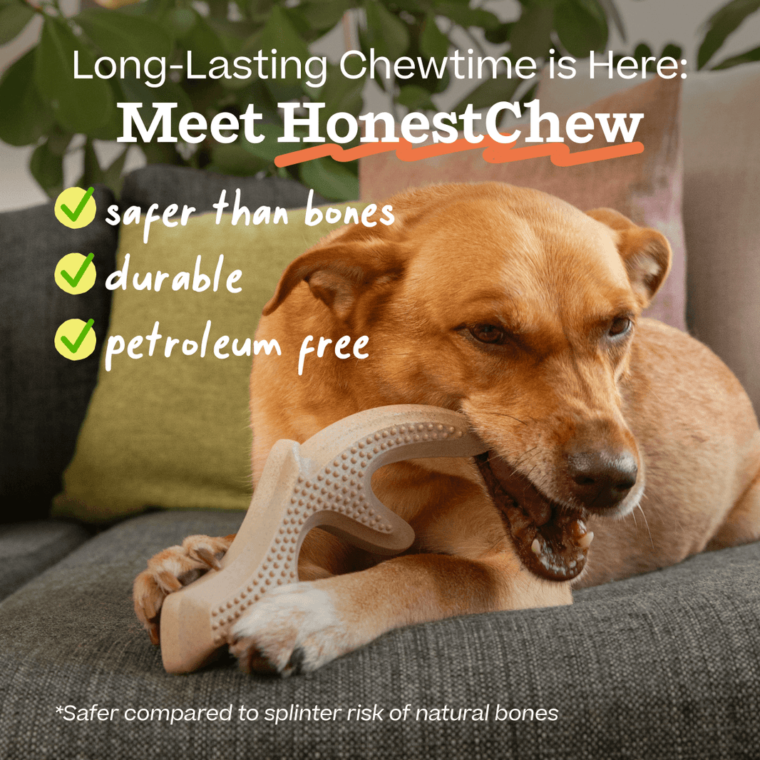 Woof HonestChew Infinity
