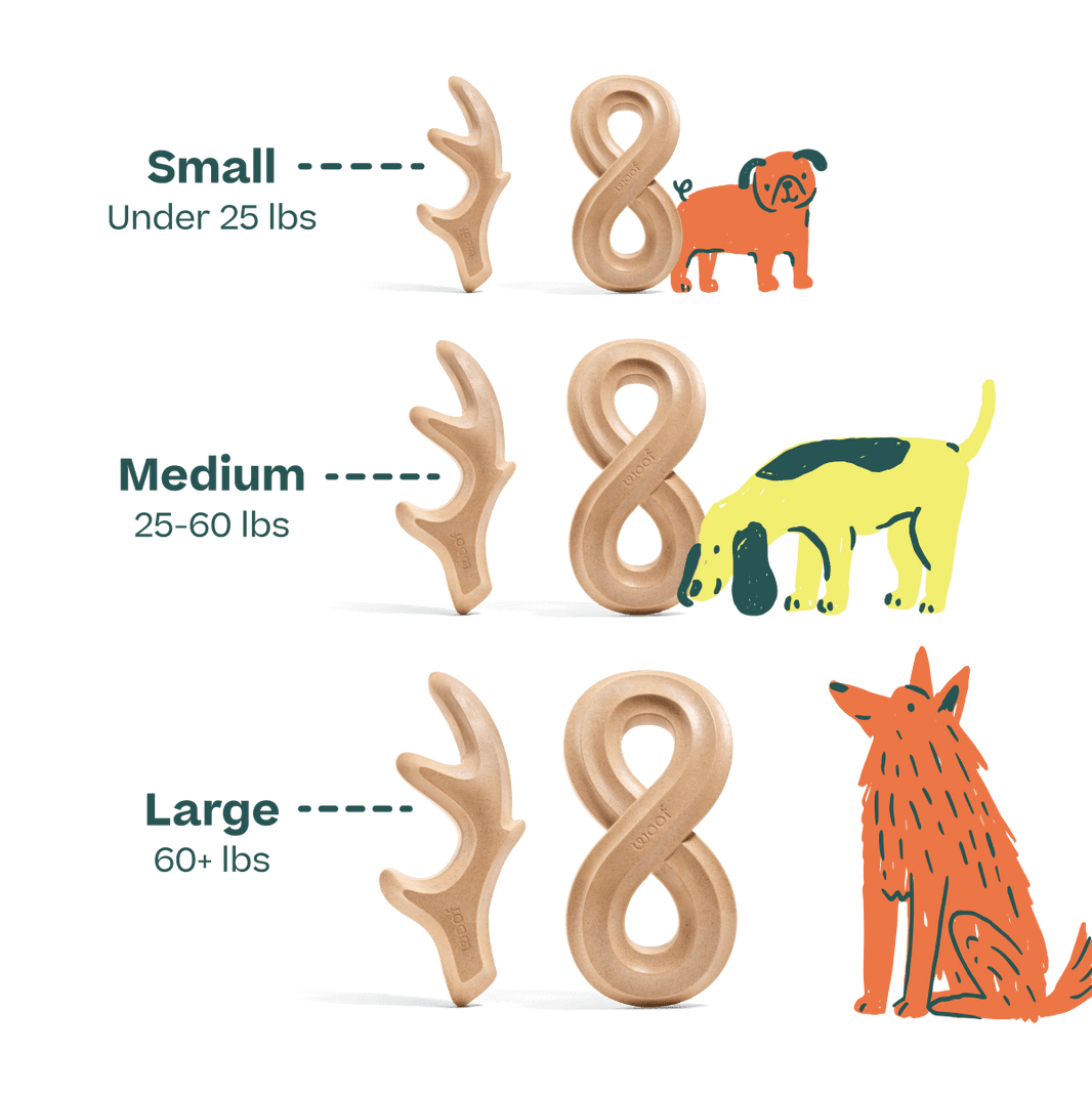 Woof HonestChew Antler