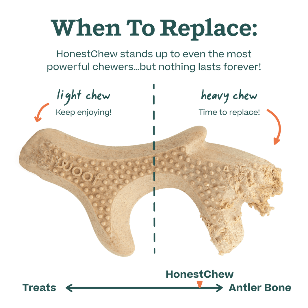 Woof HonestChew Antler