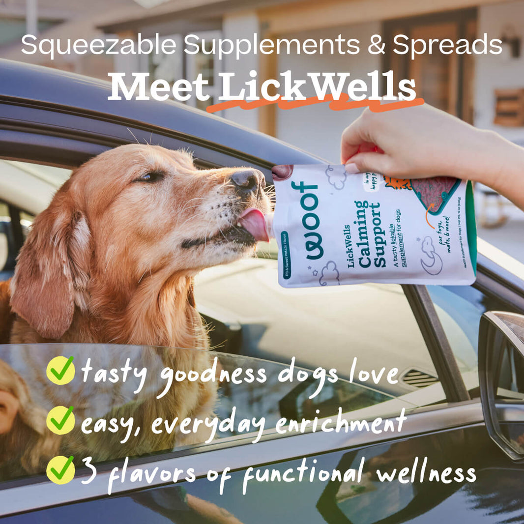 Woof Calming Support LickWells