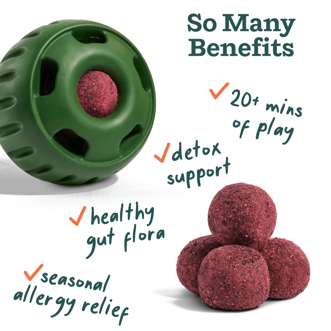 Pupsicle Allergy & Immunity Pops
