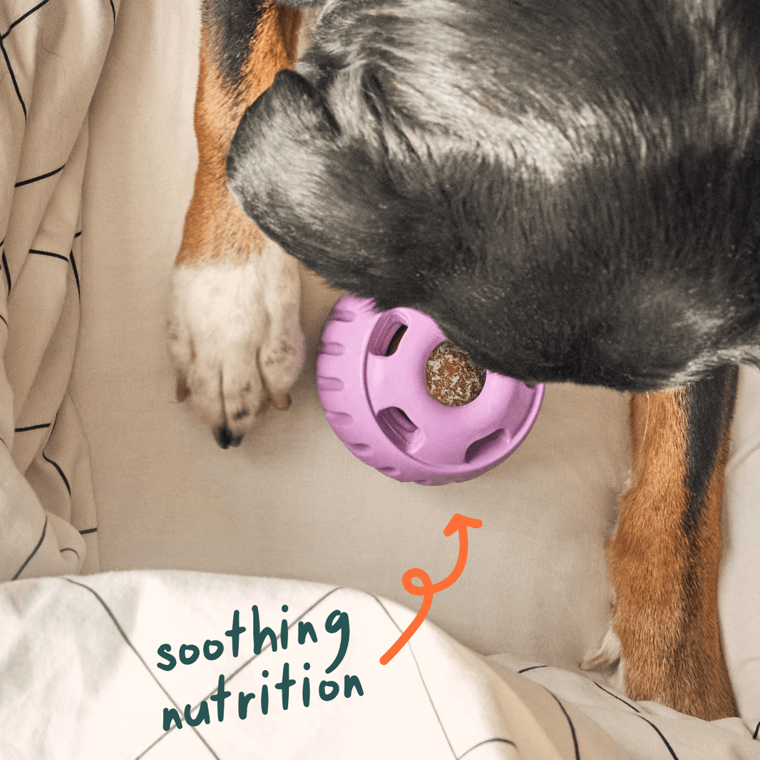 Woof Calming Wellness Pops