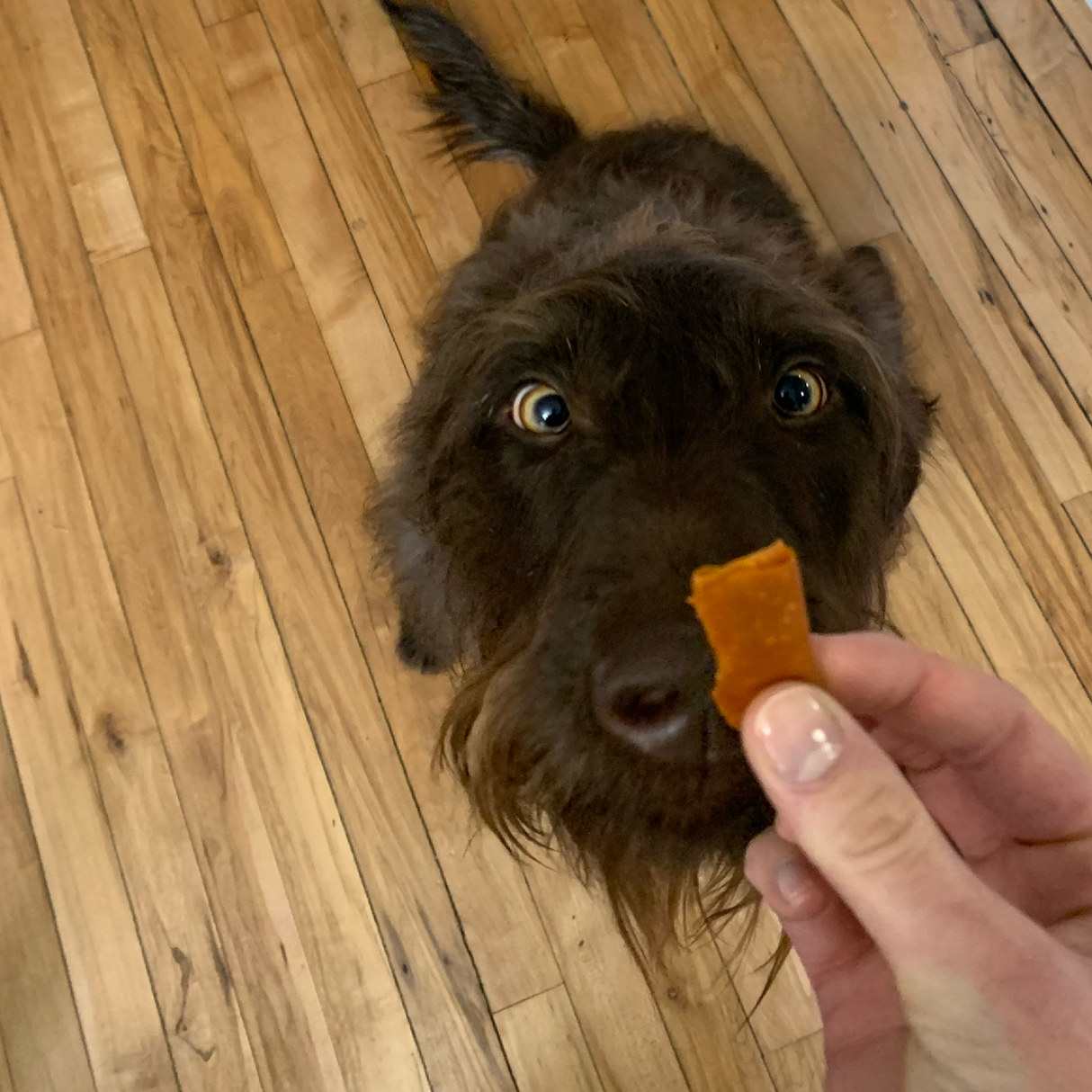 Wrap-Ups® Pill Wrapper - Bacon
