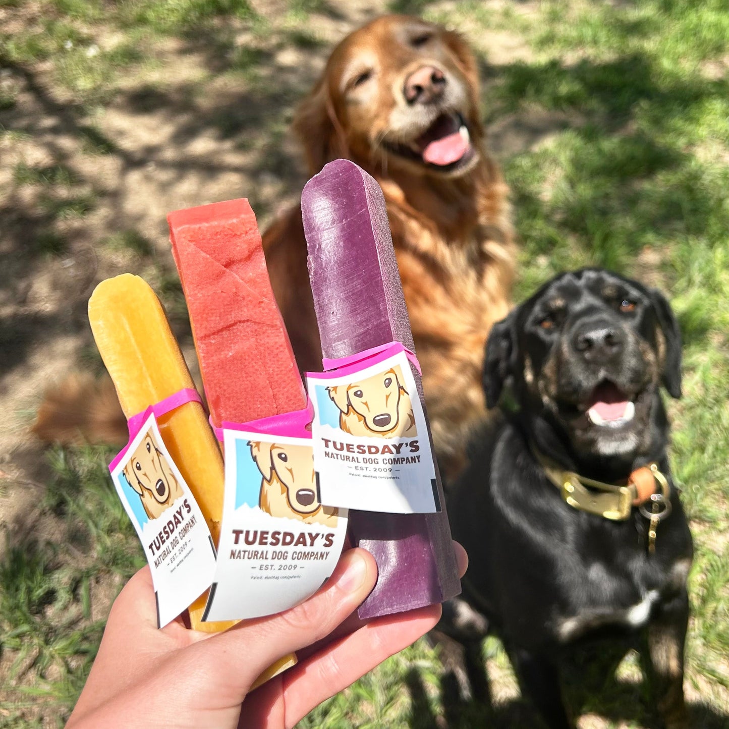 Blueberry Yak Cheese - Medium