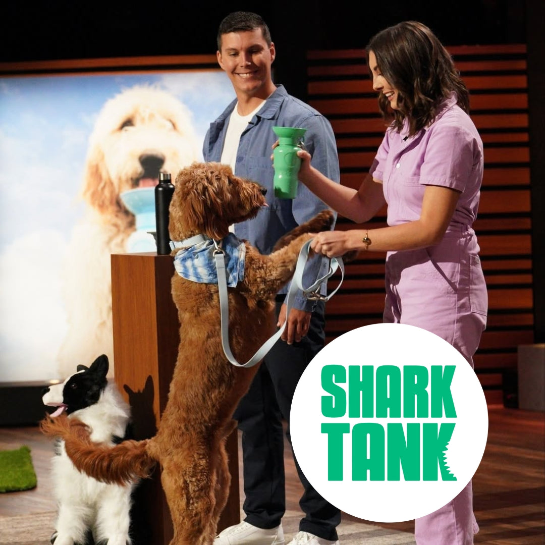 Springer Dog Travel Water Bottle - 15oz Mini - Green