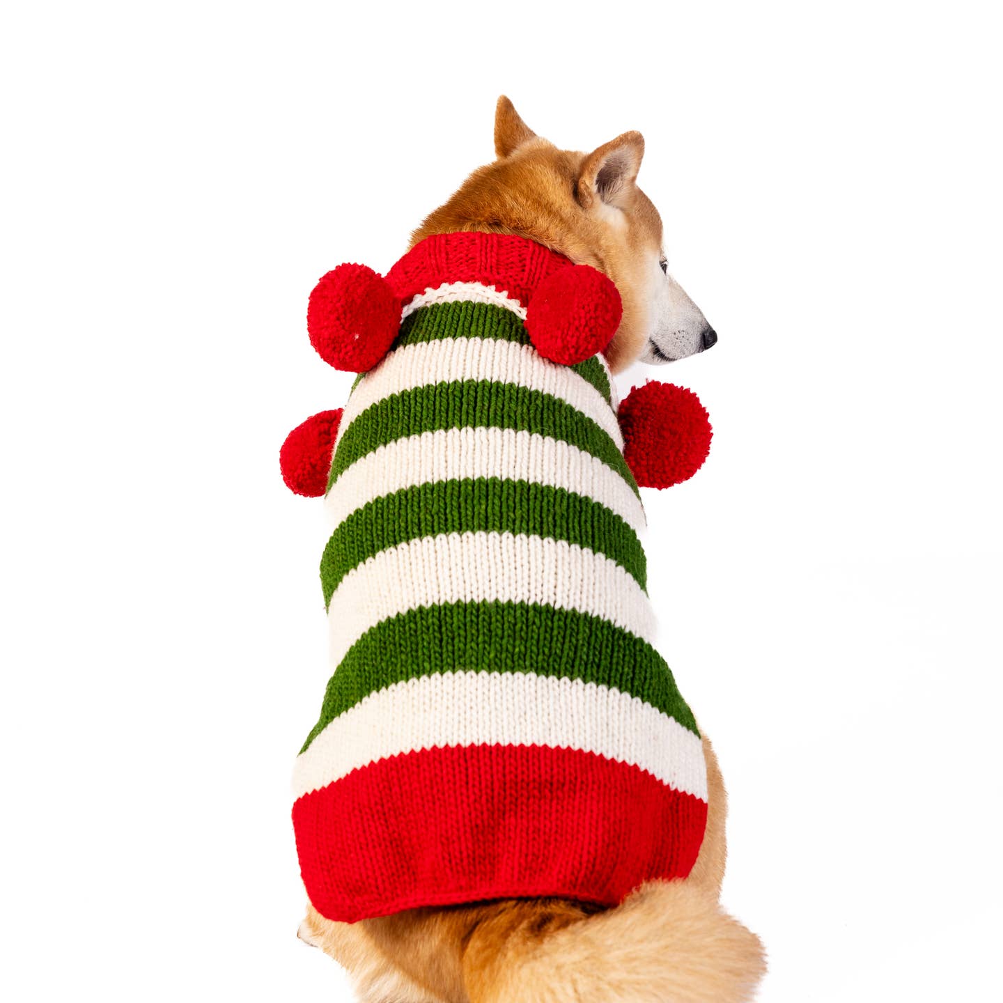 Christmas Elf Dog Sweater