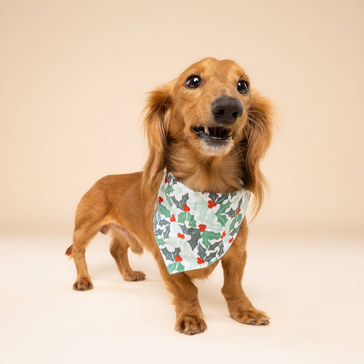 Yule Christmas Dog Bandana