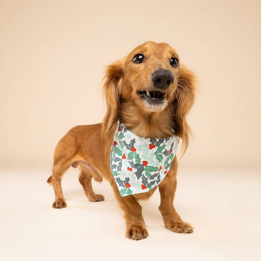 Yule Christmas Dog Bandana
