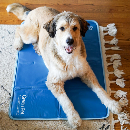 Cool Pet Pad Self-Cooling Cushion