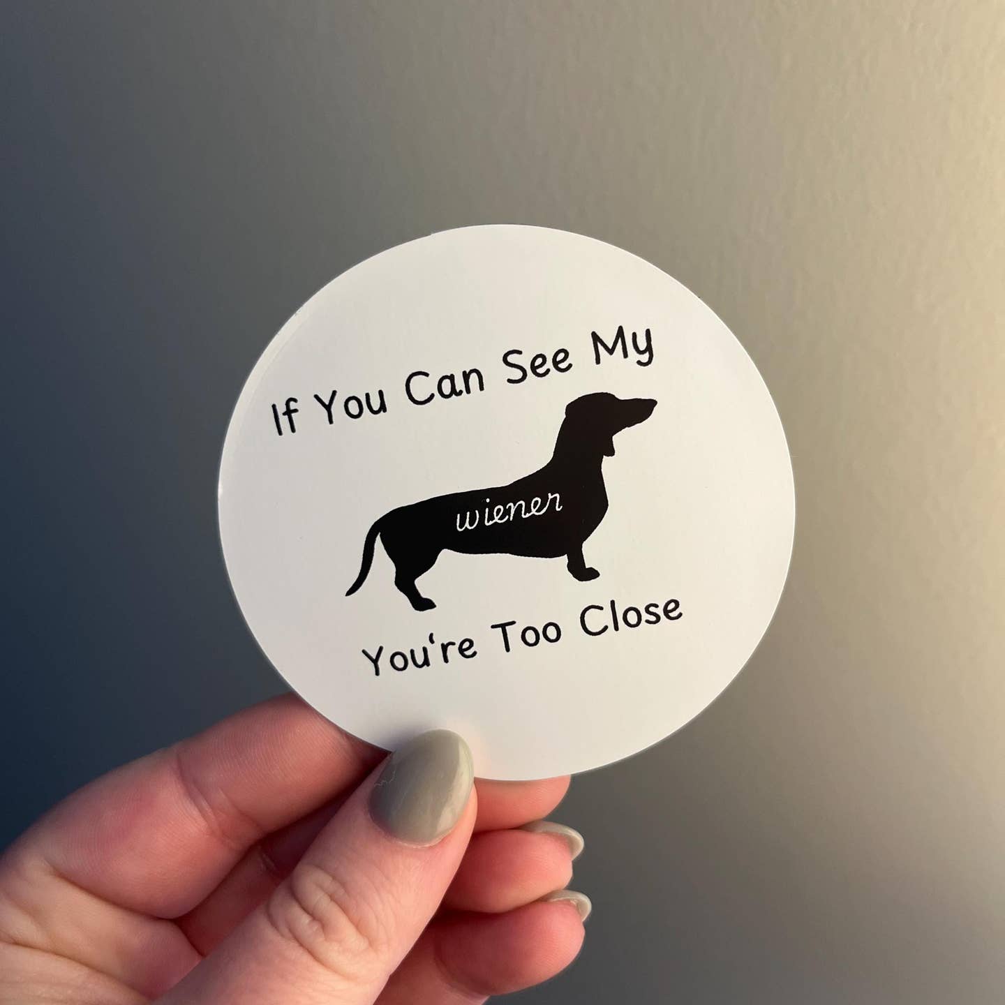 If You Can See My Wiener Magnet